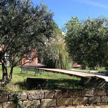 De La Suite Dans Les Oliviers Gallargues-le-Montueux Esterno foto